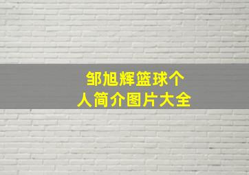 邹旭辉篮球个人简介图片大全