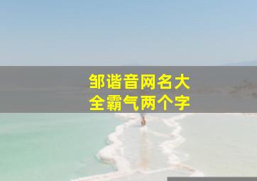 邹谐音网名大全霸气两个字