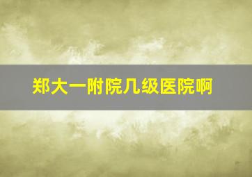 郑大一附院几级医院啊