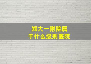 郑大一附院属于什么级别医院