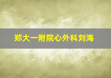 郑大一附院心外科刘海