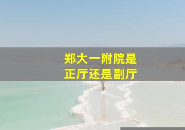 郑大一附院是正厅还是副厅