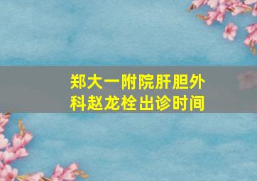 郑大一附院肝胆外科赵龙栓出诊时间