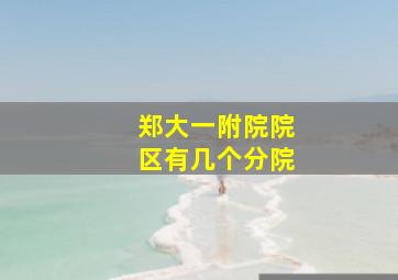 郑大一附院院区有几个分院