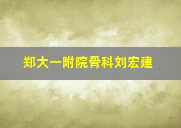 郑大一附院骨科刘宏建