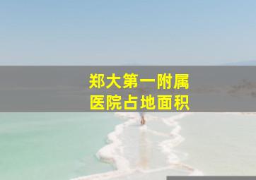 郑大第一附属医院占地面积