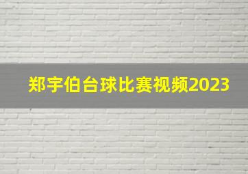 郑宇伯台球比赛视频2023