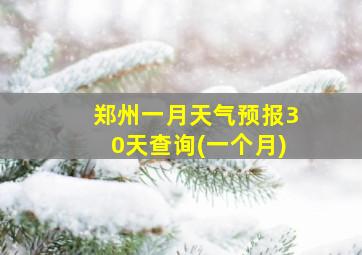 郑州一月天气预报30天查询(一个月)