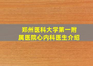 郑州医科大学第一附属医院心内科医生介绍