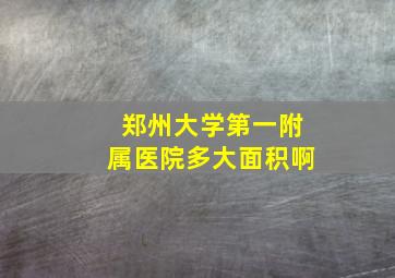 郑州大学第一附属医院多大面积啊