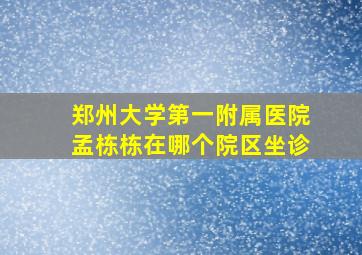 郑州大学第一附属医院孟栋栋在哪个院区坐诊