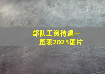 部队工资待遇一览表2023图片