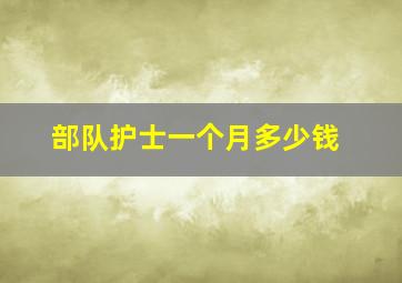 部队护士一个月多少钱