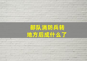 部队消防兵转地方后成什么了