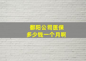 鄱阳公司医保多少钱一个月啊