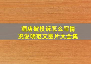 酒店被投诉怎么写情况说明范文图片大全集