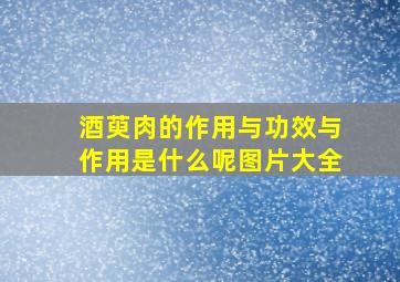 酒萸肉的作用与功效与作用是什么呢图片大全