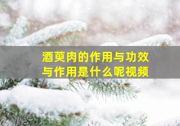 酒萸肉的作用与功效与作用是什么呢视频