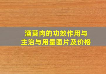 酒萸肉的功效作用与主治与用量图片及价格