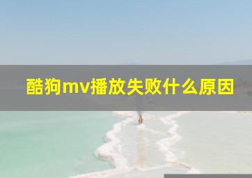 酷狗mv播放失败什么原因