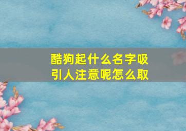 酷狗起什么名字吸引人注意呢怎么取