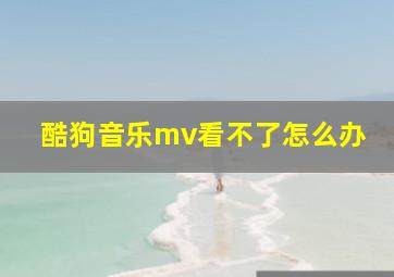 酷狗音乐mv看不了怎么办