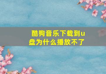 酷狗音乐下载到u盘为什么播放不了