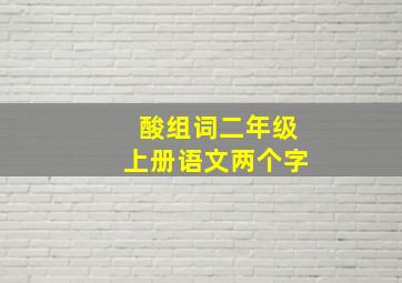 酸组词二年级上册语文两个字