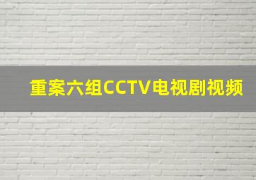 重案六组CCTV电视剧视频