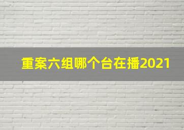 重案六组哪个台在播2021