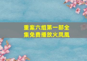 重案六组第一部全集免费播放火凤凰