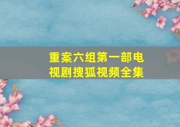 重案六组第一部电视剧搜狐视频全集