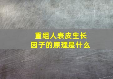 重组人表皮生长因子的原理是什么