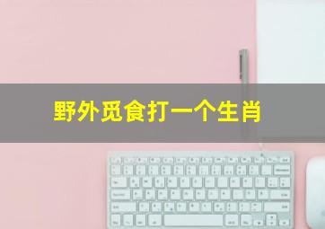 野外觅食打一个生肖