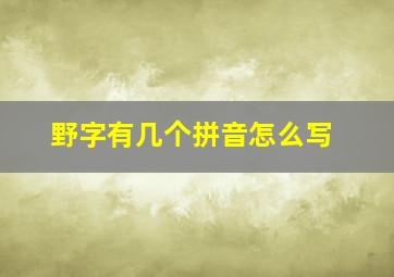 野字有几个拼音怎么写