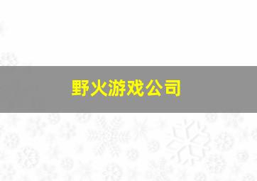 野火游戏公司