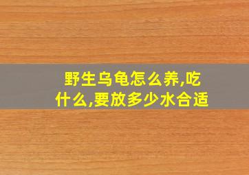 野生乌龟怎么养,吃什么,要放多少水合适