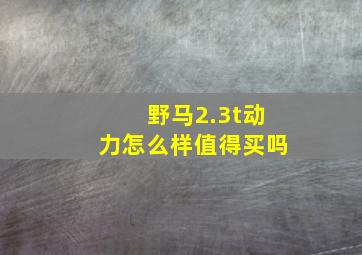 野马2.3t动力怎么样值得买吗