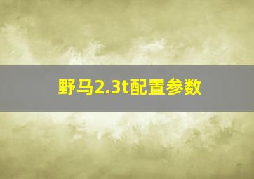 野马2.3t配置参数