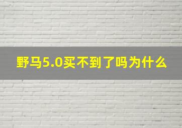 野马5.0买不到了吗为什么