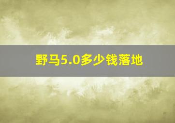 野马5.0多少钱落地