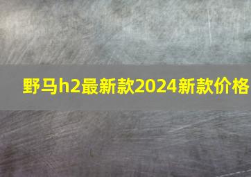 野马h2最新款2024新款价格