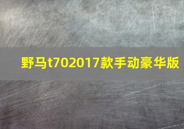 野马t702017款手动豪华版