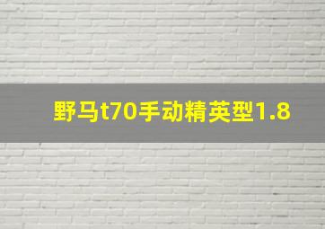 野马t70手动精英型1.8