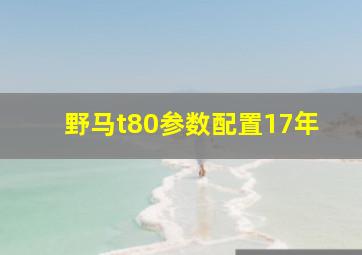 野马t80参数配置17年