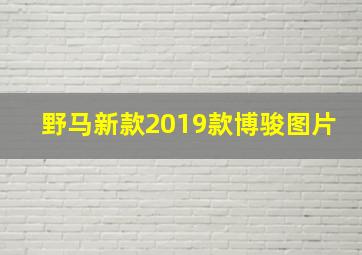 野马新款2019款博骏图片