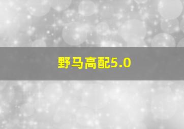 野马高配5.0