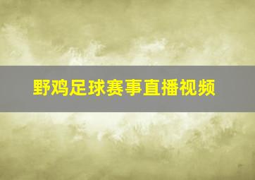 野鸡足球赛事直播视频