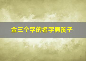 金三个字的名字男孩子