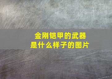 金刚铠甲的武器是什么样子的图片